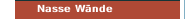 Nasse W&auml;nde